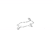 Maybe_Bunny 的头像