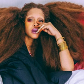 Erykah Badu - Found on the Web - Author not mentioned.png