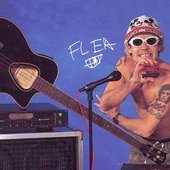 Flea