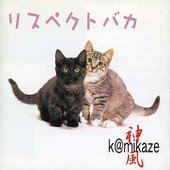 リスペクトバカ