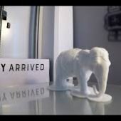 White Elephant