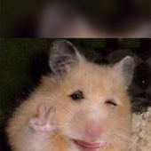wiktoriiiaam 的头像