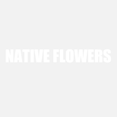 NativeFlowers 的头像