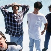 Stone roses