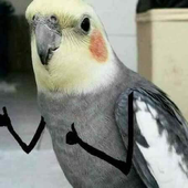 ViniciusVioto 的头像