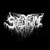 Spektrum  (Logo)