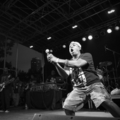 afropunk2013