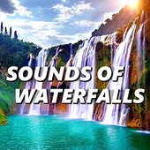 A1w43hpll3L._SS500_.jpg
