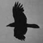 Munin1980 的头像