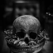 Skull