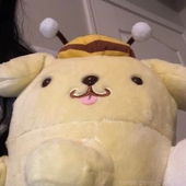 uuruha 的头像