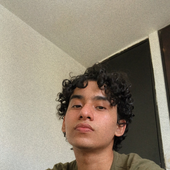 Jesuserpajaro 的头像