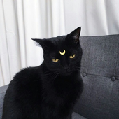Avatar für jyorudana