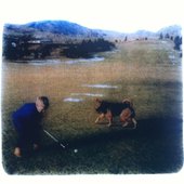 Pinehurst tape