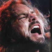 Vedder