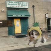 Pineapple Hill