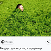Screenshot_20230913_083000_com.huawei.browser_edit_204973911116963.png