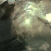 la carrera universal hacia no entendernos [Explicit]
