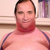 gris steffe.png