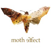 Moth Effect