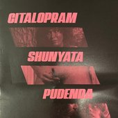 Pudenda In Peril