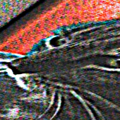 sm0k3yisus 的头像