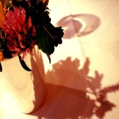 avatars-000039013205-e01d8b-t1080x1080.jpg