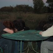 IMG_0775.jpeg