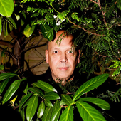 simon.png