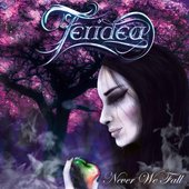 Never We Fall - Single