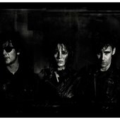 BRMC: Peter, Leah, Robert