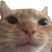 Tabby_Eclipz 的头像