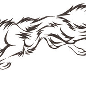 broughtonwolf 的头像