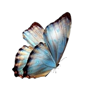 Avatar di imdeviil
