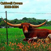 Caldwell Covers (2022-2024)