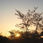 Kyoto Sunsets
