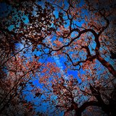 Entropy