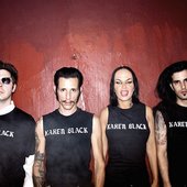 images-artists-The_Voluptuous_Horror_of_Karen_Black_-_20101027152109729.w_290.h_290.m_crop.a_center.v_top.jpg