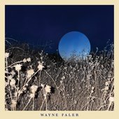 Wayne Faler