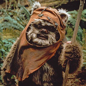 Awatar dla EwokRider