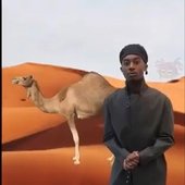 camel carti.jpg