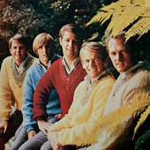 The Beach Boys (1965)