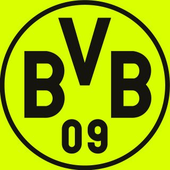BVBler 的头像