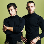 The Last Shadow Puppets