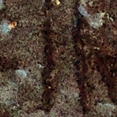 Deino
