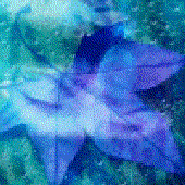 Alarine 的头像