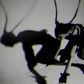 R_03.png