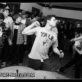 Live at Democracy Center in Cambridge, MA on January 20th, 2012
