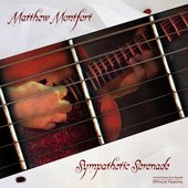 Sympathetic Serenade for Scalloped Fretboard Guitar