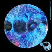 Quantum World